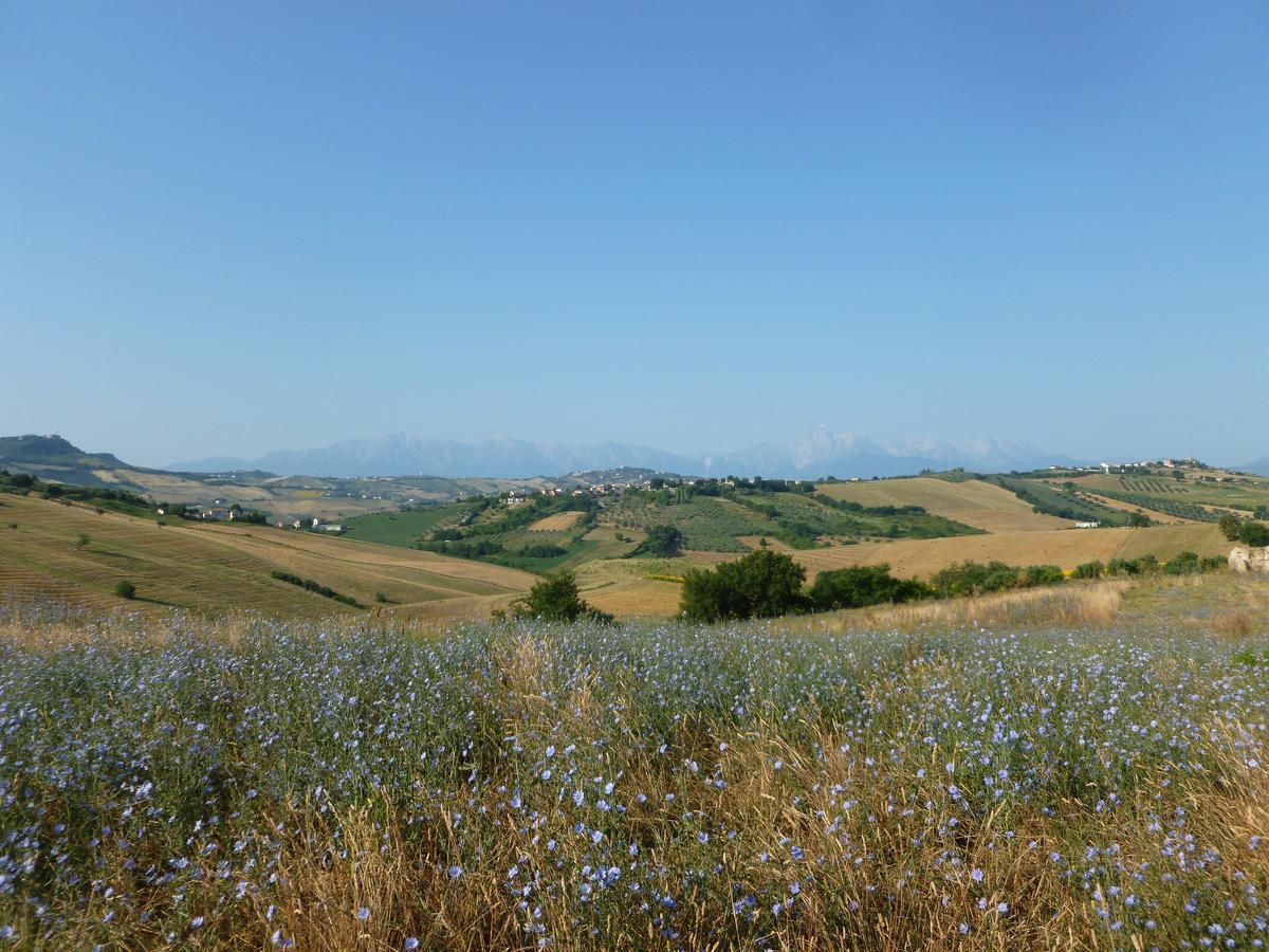 Il Frutteto Bed And Breakfast Ripattone Экстерьер фото