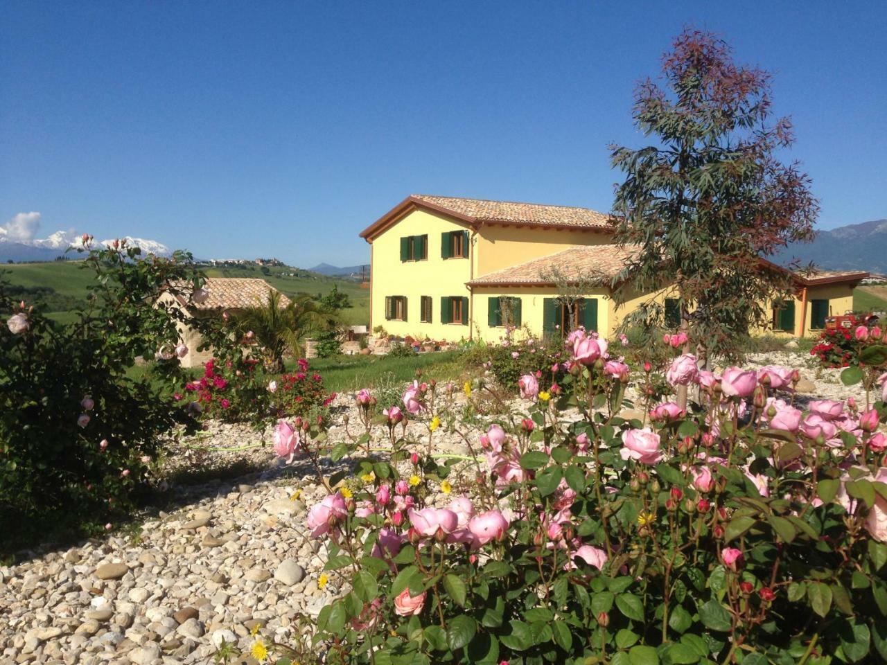 Il Frutteto Bed And Breakfast Ripattone Экстерьер фото